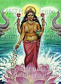 Front cover of The Goddess Oracle